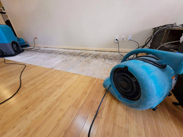 Professional Structural Drying technician working in Whites Creek, TN